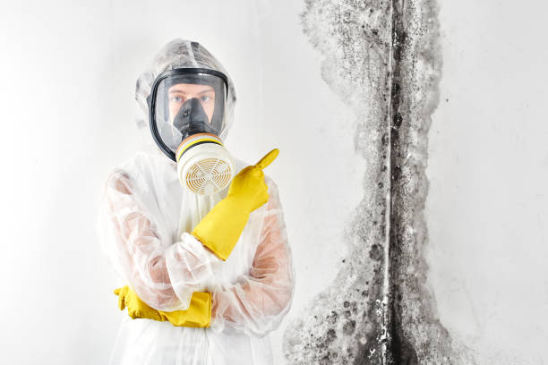 Stone Mountain, GA Mold Removal Company